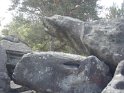 2014-06-05 10-37-09 Foret de Fontainebleau VGa